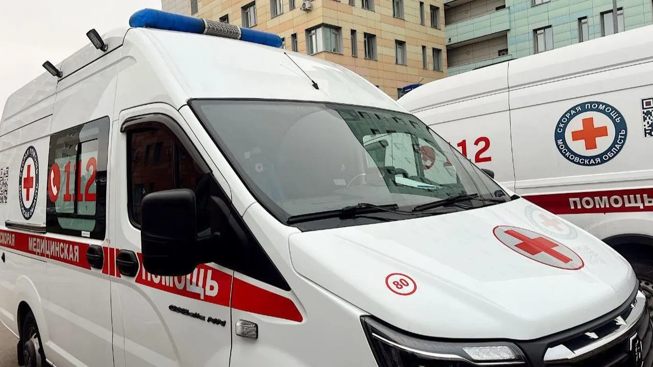 Жители Подмосковья теперь могут связаться с руководством областной станции скорой помощи через чат-бот