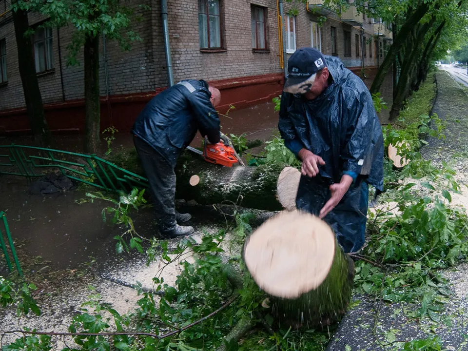 Фото: РИА Новости/Дмитрий Паршин