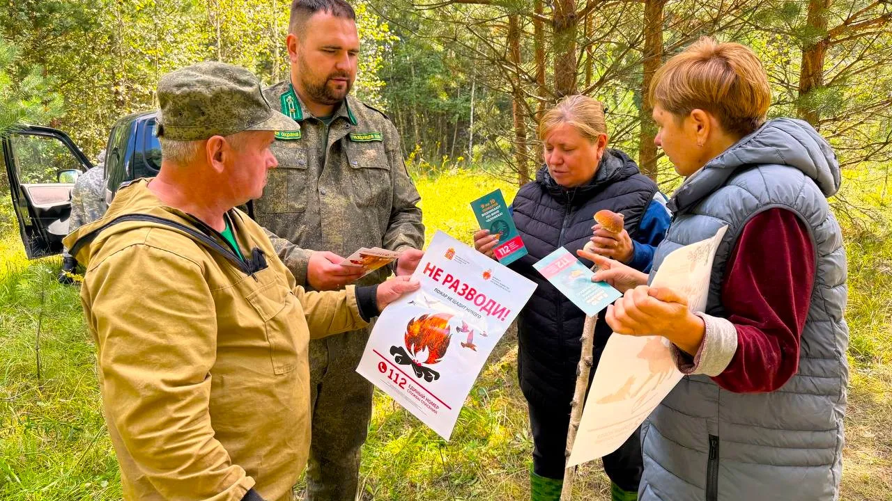 Фото: ГАУ МО «Мособллес»