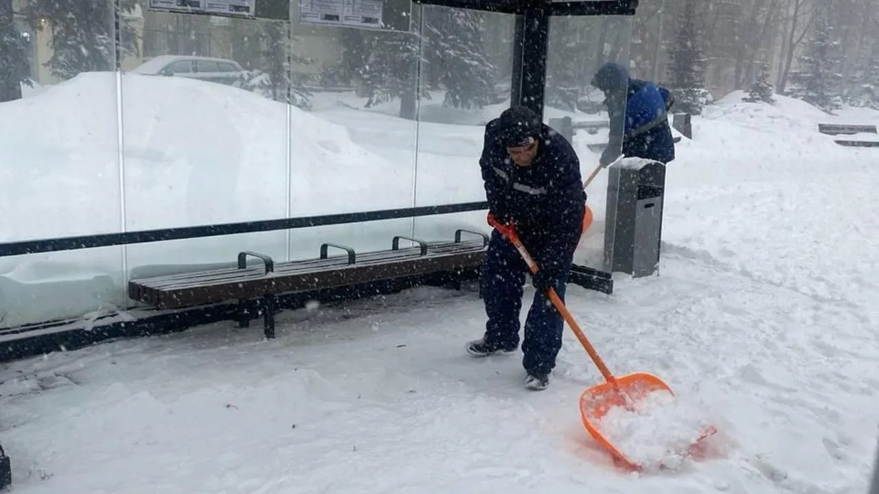 администрация городского округа Жуковский