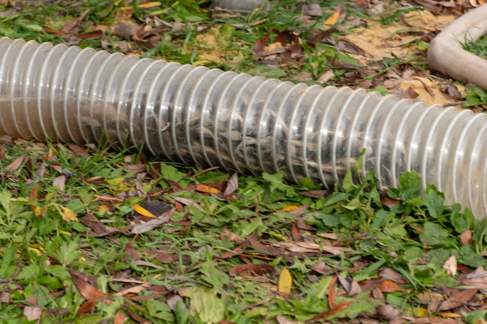 Фото: Евгений Мазепов