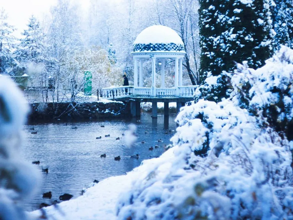 Фото: t.me/mosoblpark