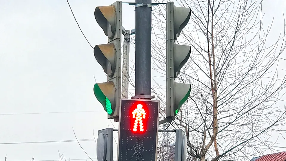 Фото: МедиаБанк Подмосковья/Валерия Исаева