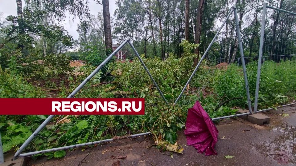 Фото: Екатерина Белякова