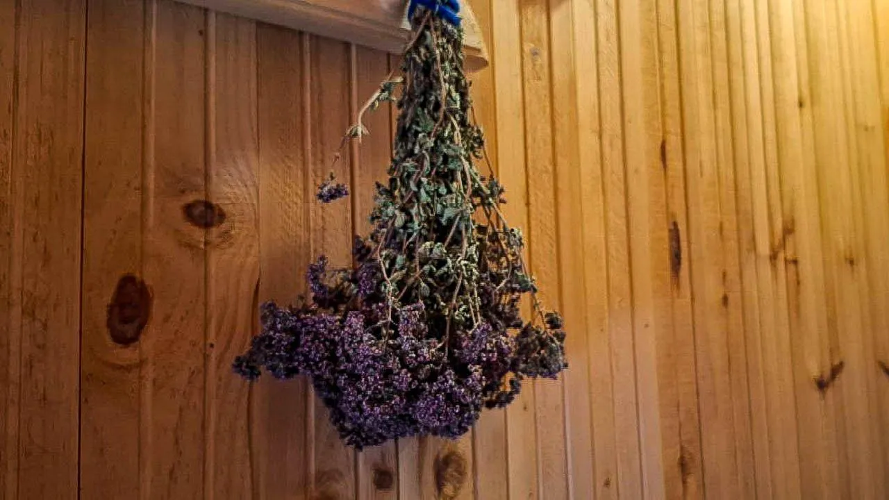 REGIONS/Юлия Габбасова