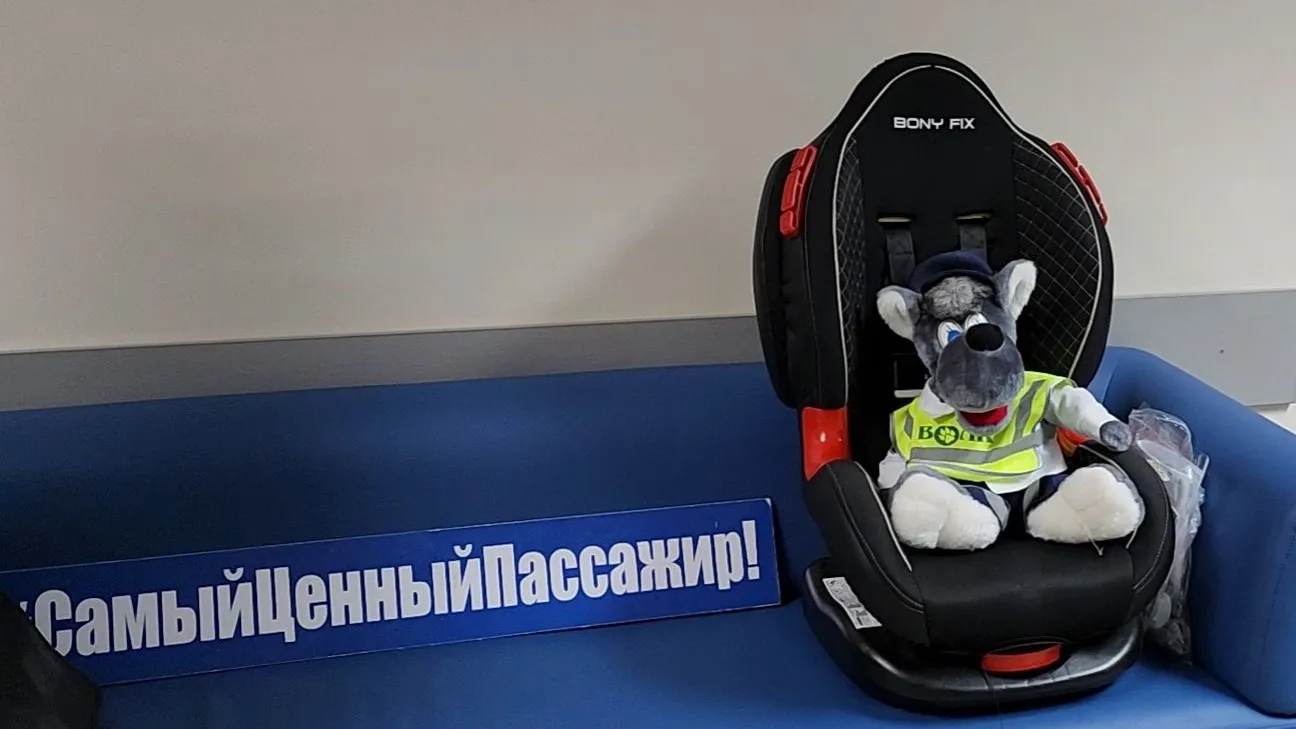 Фото: МедиаБанк Подмосковья/Арина Кузнецова