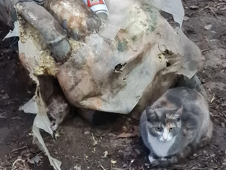 Фото: социальные сети