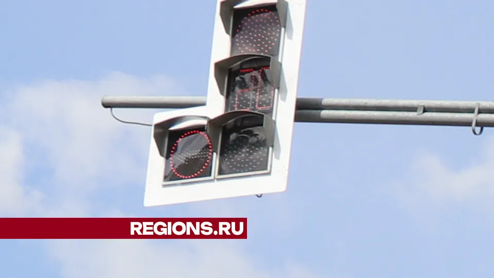 Фото: REGIONS/Василий Тремасов