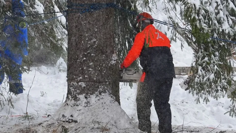 Фото: медиасток.рф
