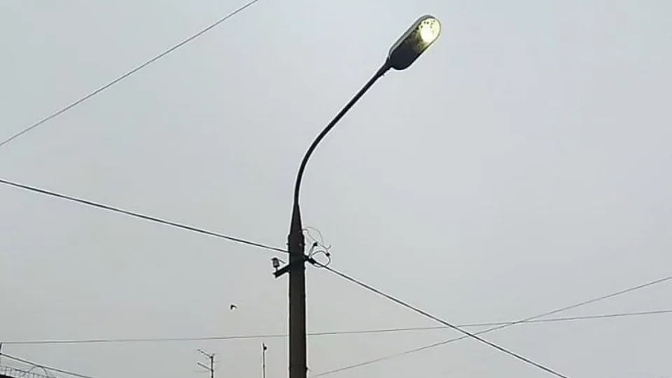 Фото: МЦУР Дмитровского муниципального округа