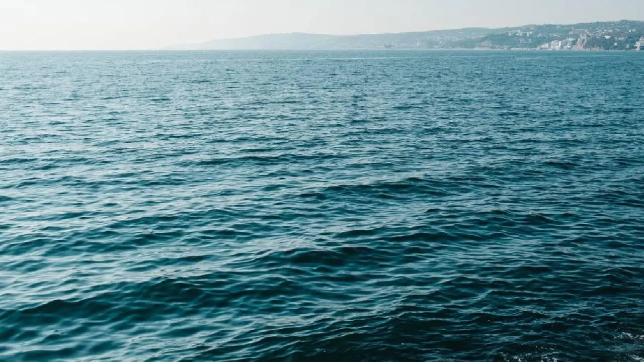 Стратегический план для моря и катастрофический дисбаланс для глухих: о чем заставляют задуматься две даты 31 октября