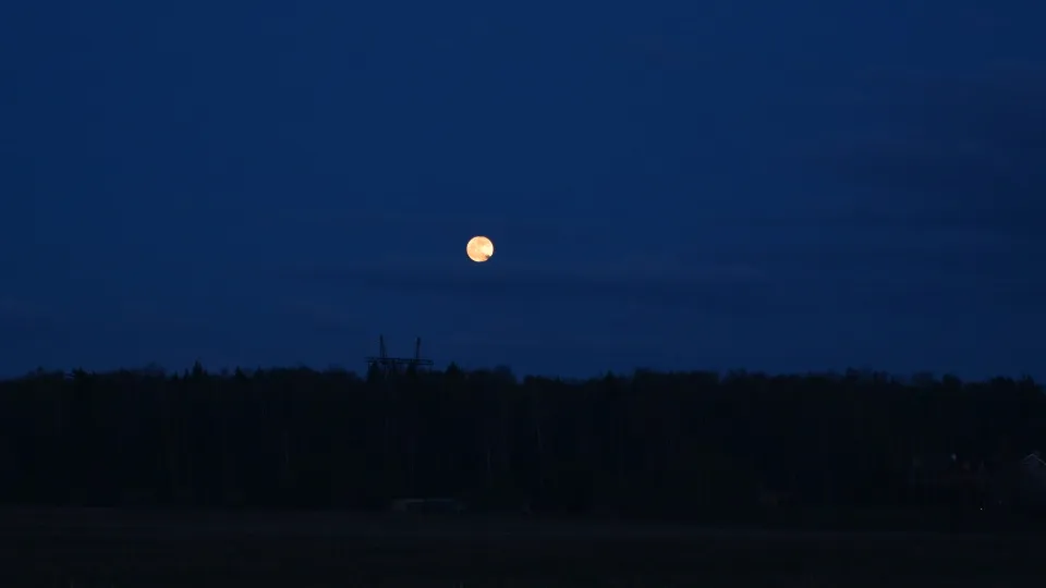 Фото: Ксения Карцева