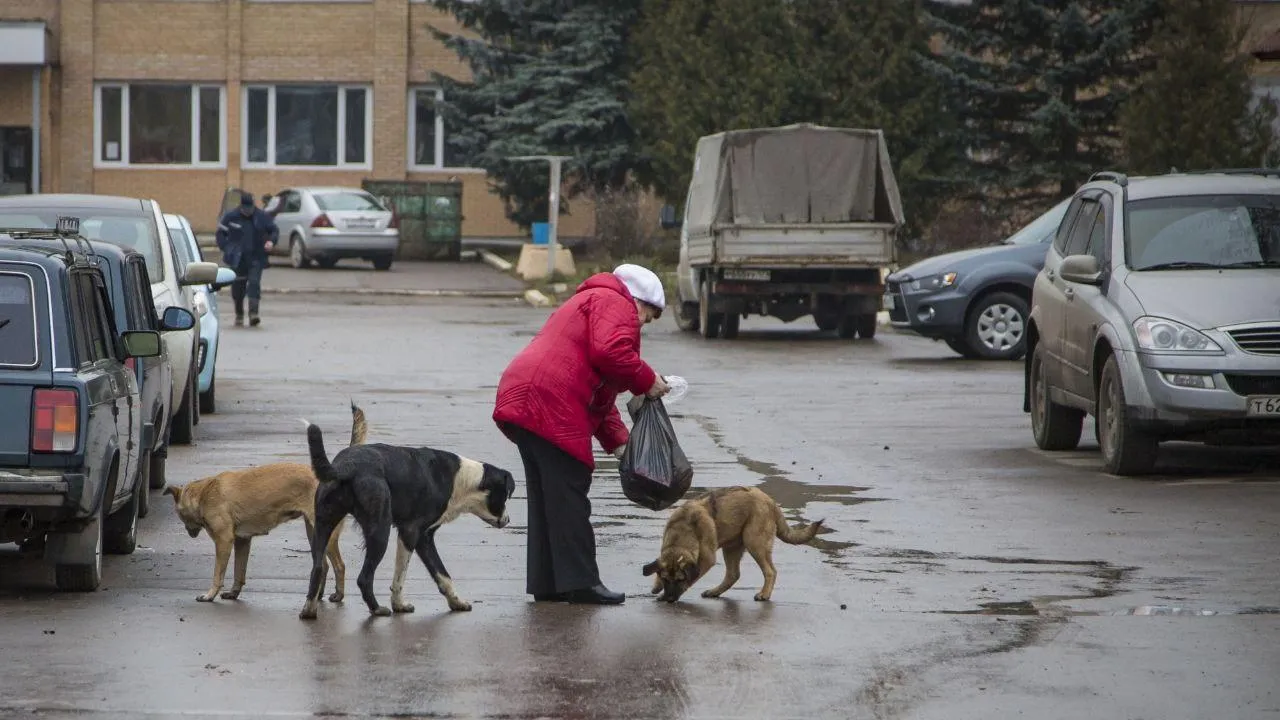 Фото: Павел Попов
