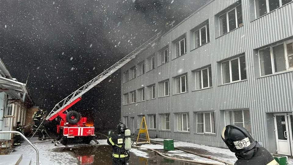 Фото: t.me/mosoblproc