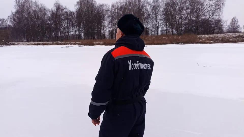 Фото: ГКУ МО «Мособлпожспас»