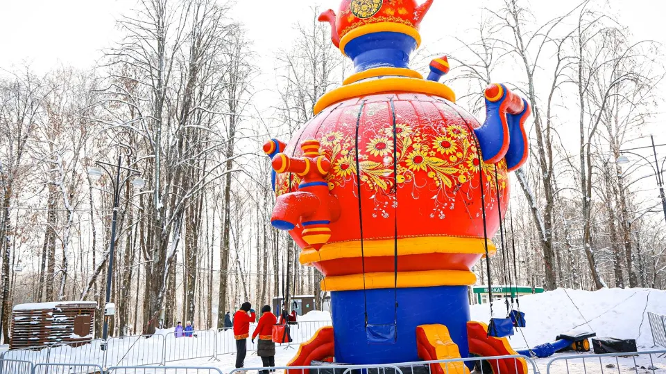 Фото: МедиаБанк Подмосковья/Данила Кирьянов