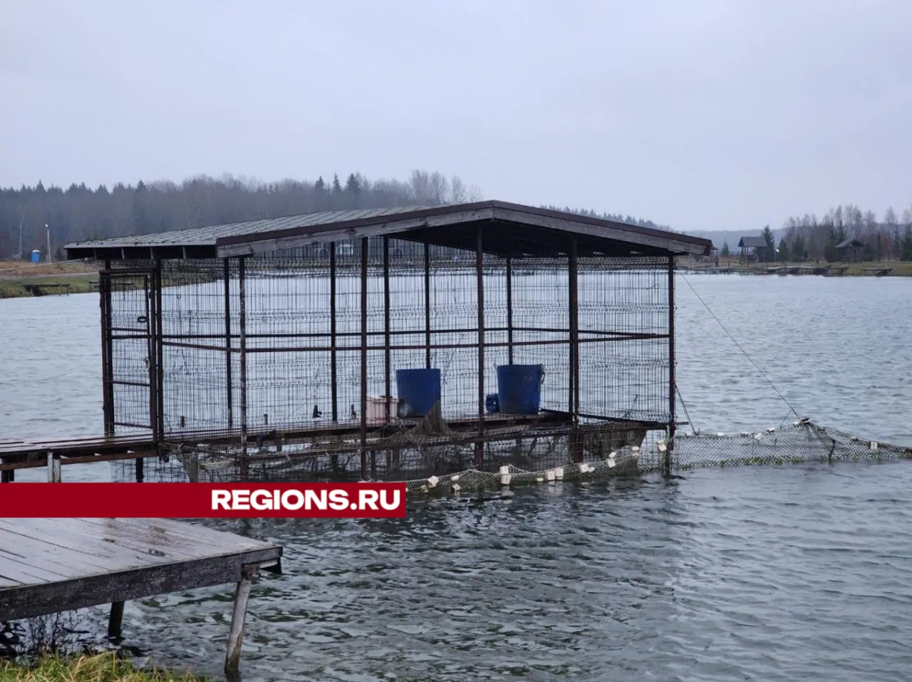 REGIONS/Яна Шаливская