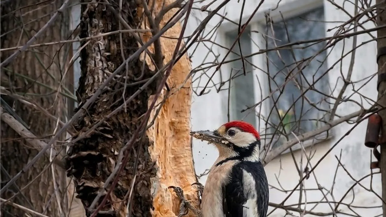 REGIONS/Сгенерировано нейросетью