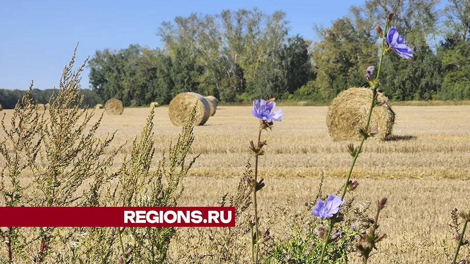 Фото: Марина Анисимова