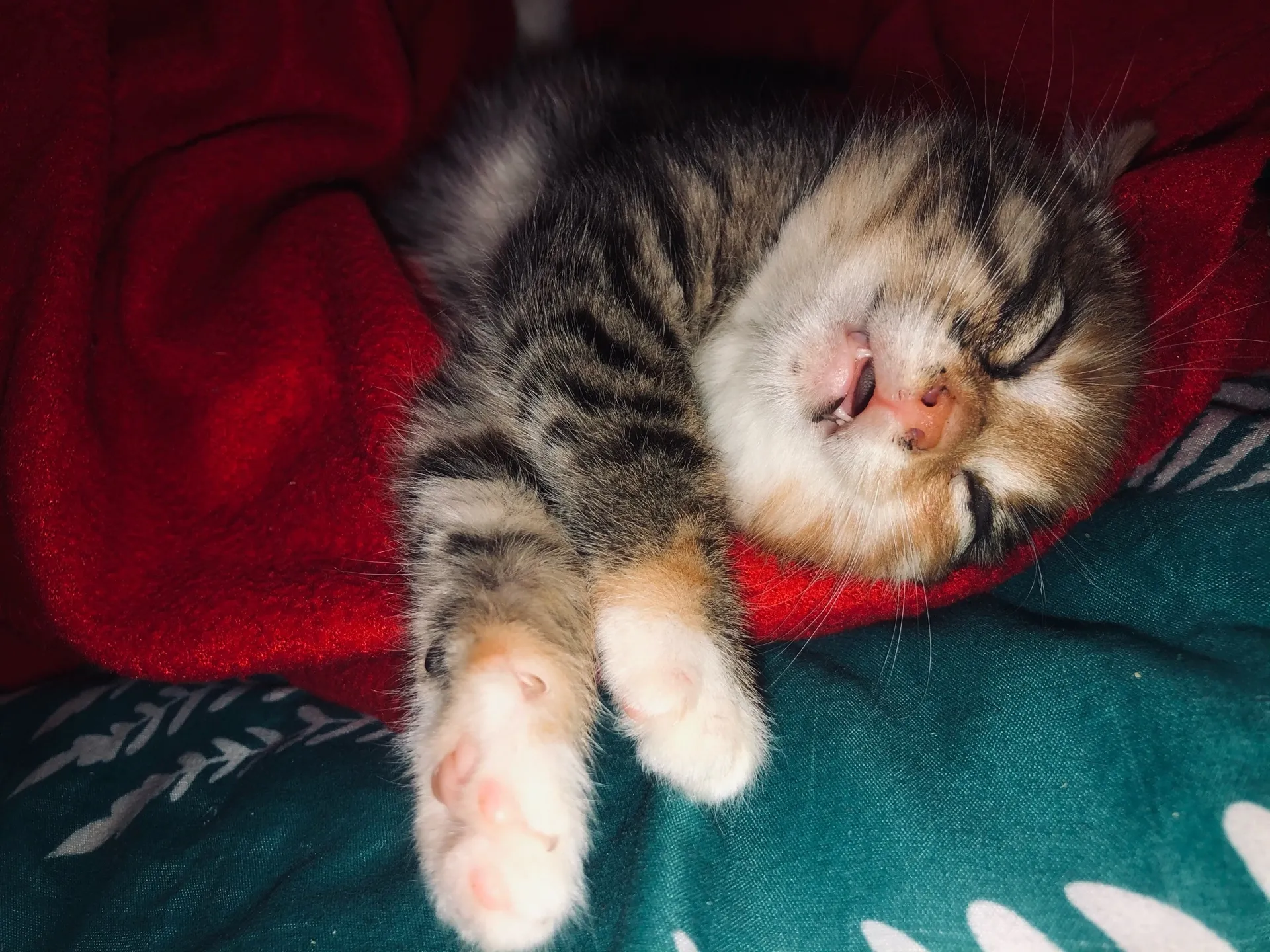 Фото: Татьяна Рунова