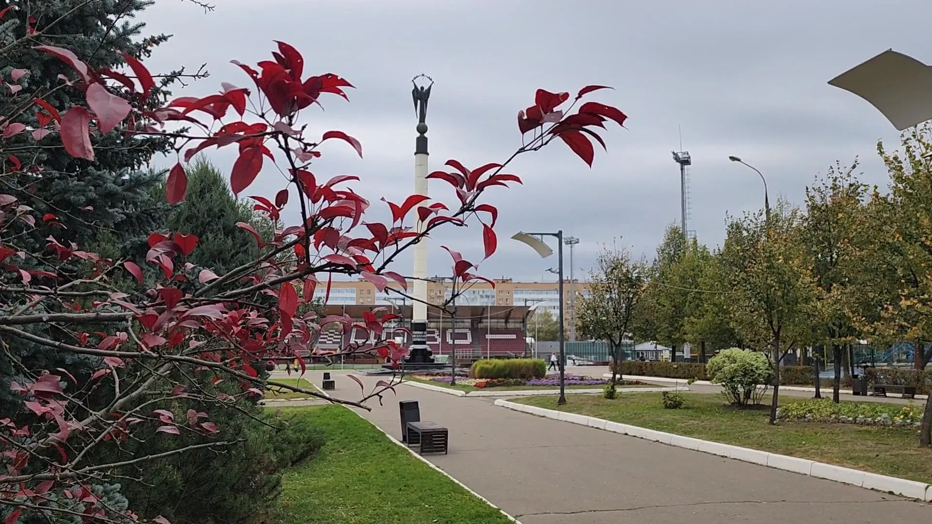 Сморкалов Никита