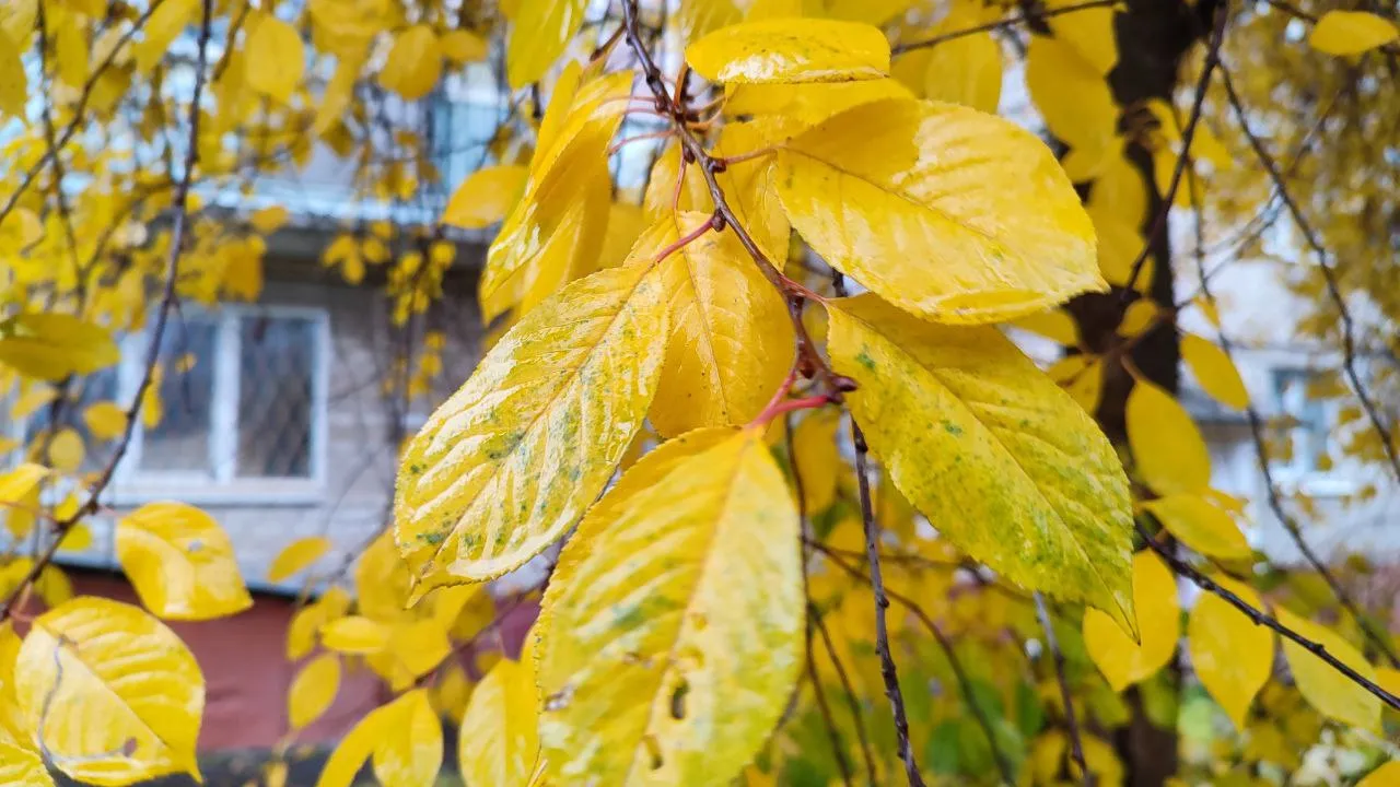 Фото: REGIONS/Елена Забелина