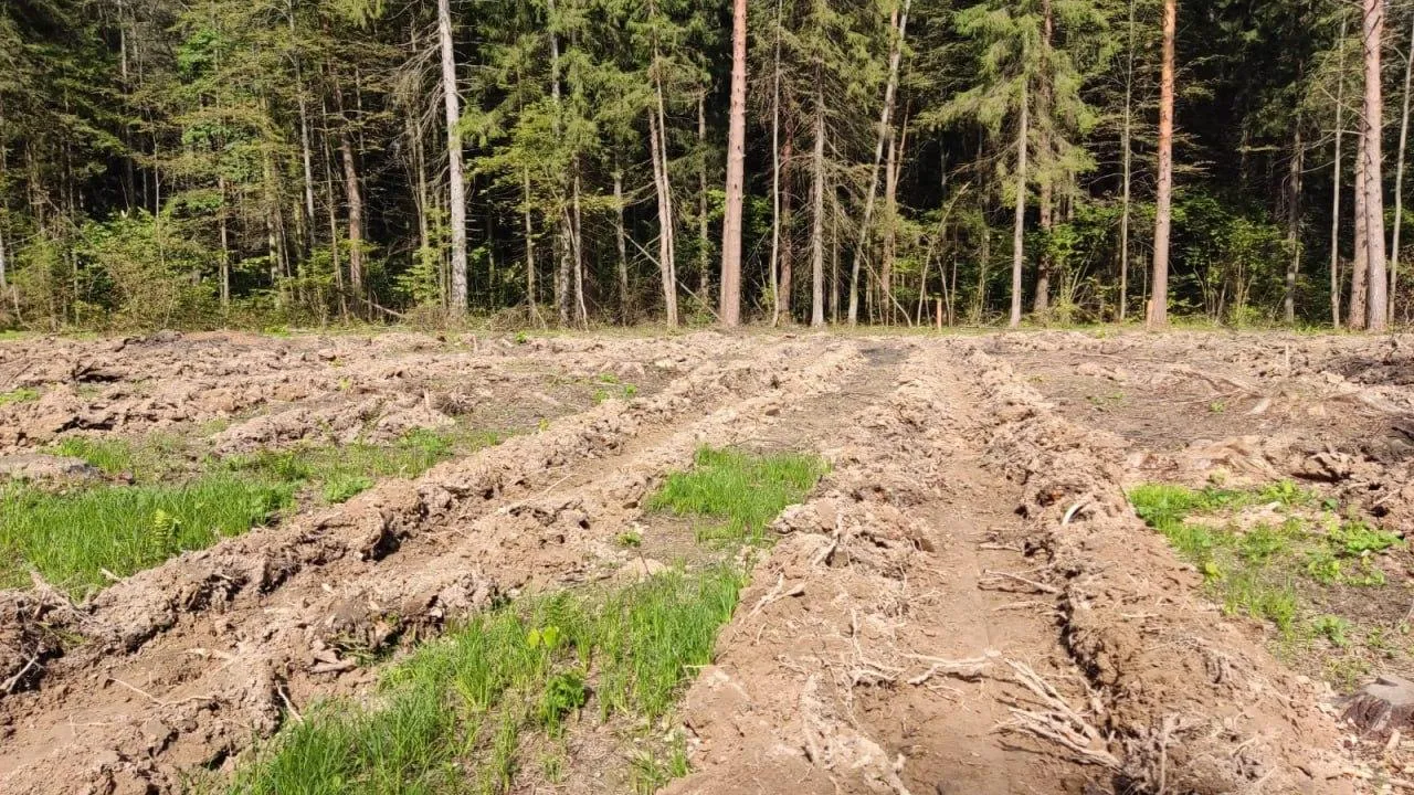 Комитет лесного хозяйства Московской области
