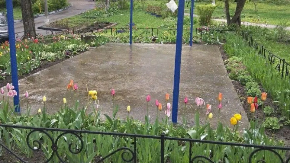 Фото: Администрация городского округа Истра