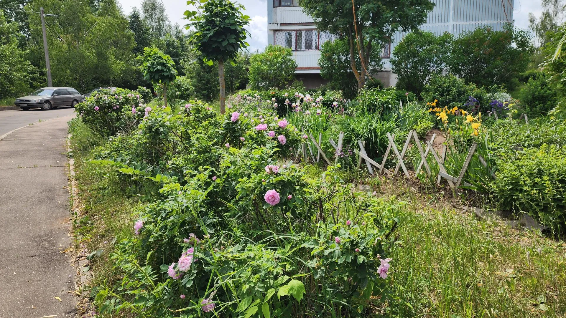 Фото: Мария Панина