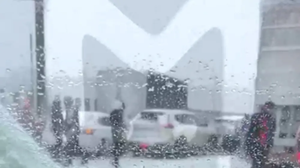 Фото: соцсети