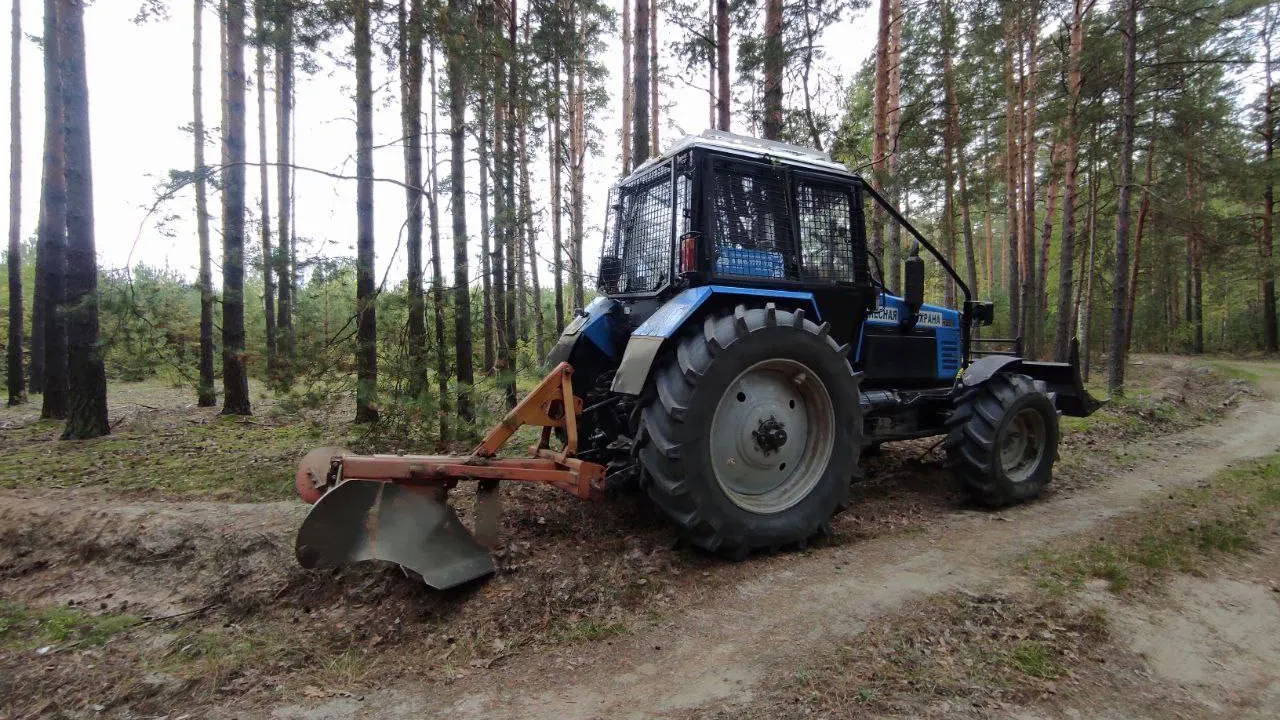 Комитет лесного хозяйства Московской области