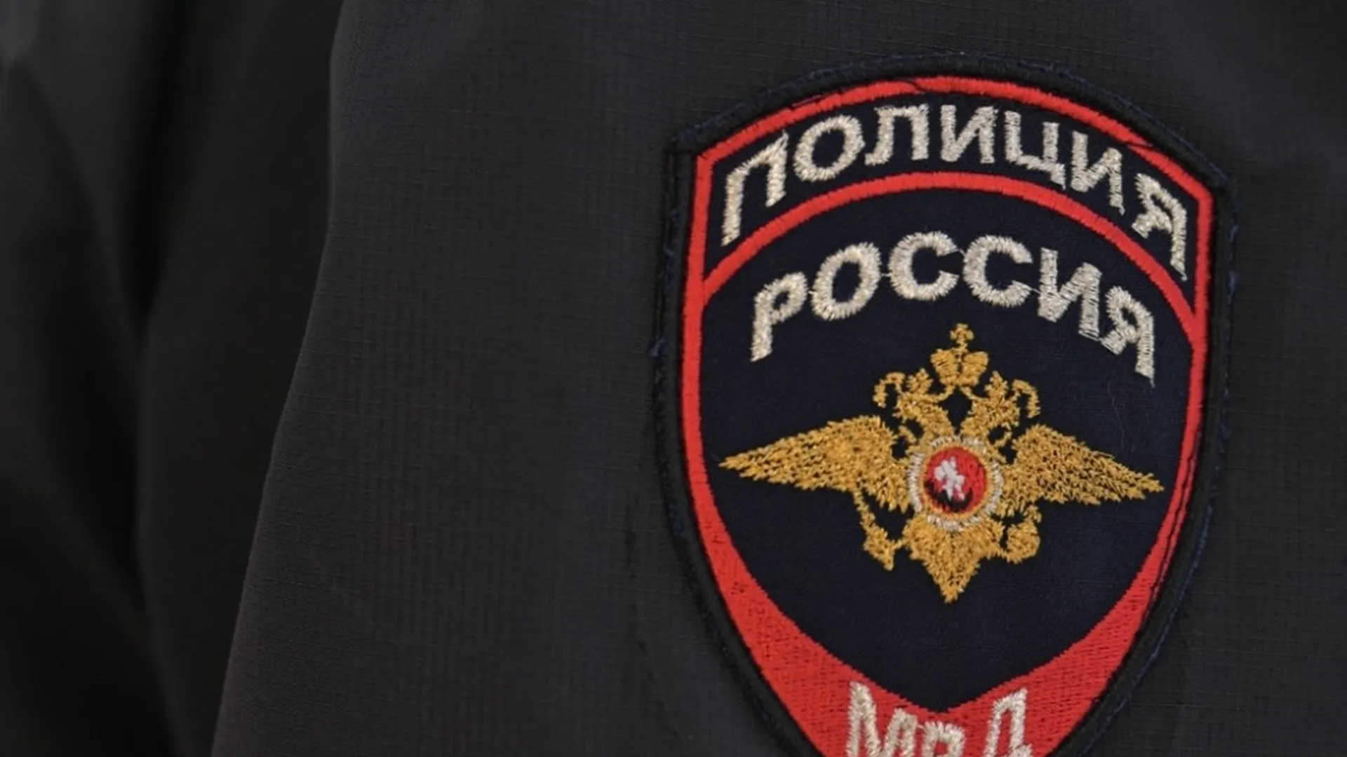 Фото: ГУ МВД России по Московской области