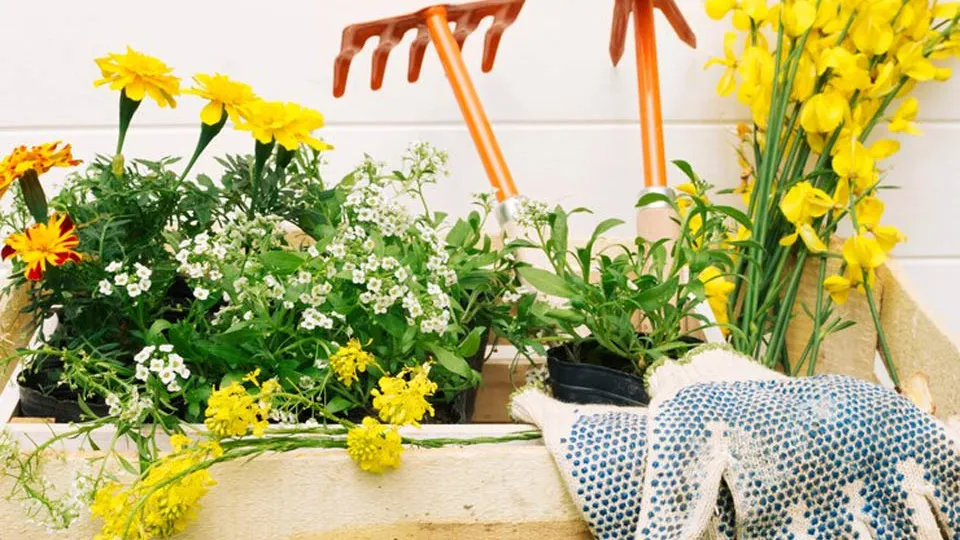 Фото: freepik.com