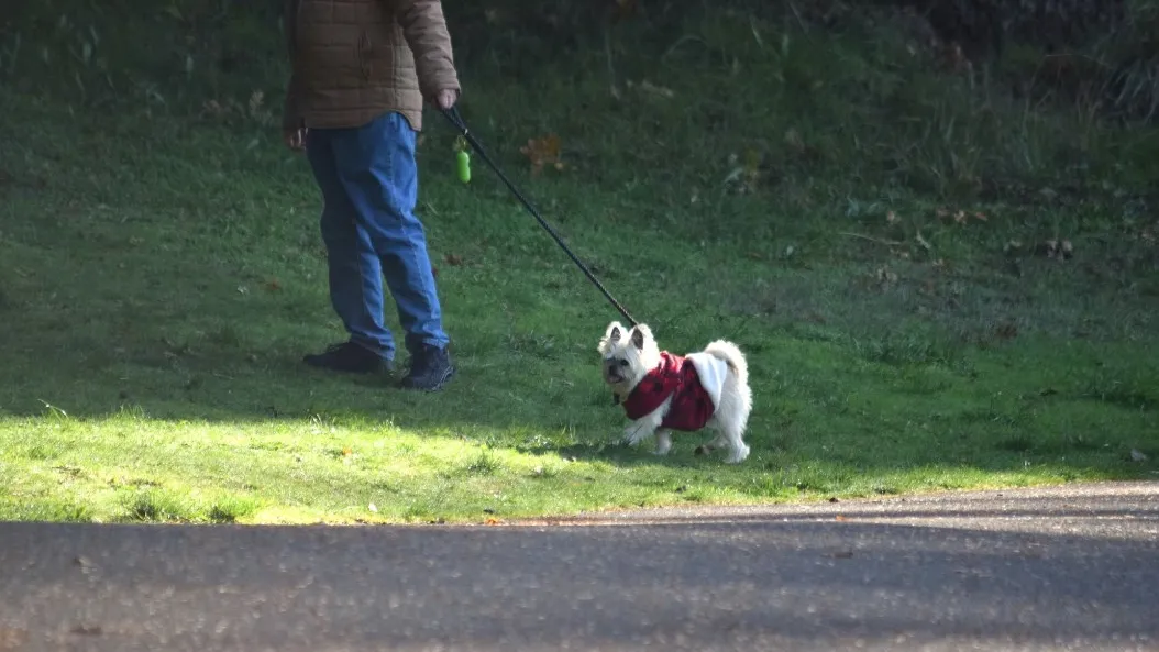 Фото: unsplash.com