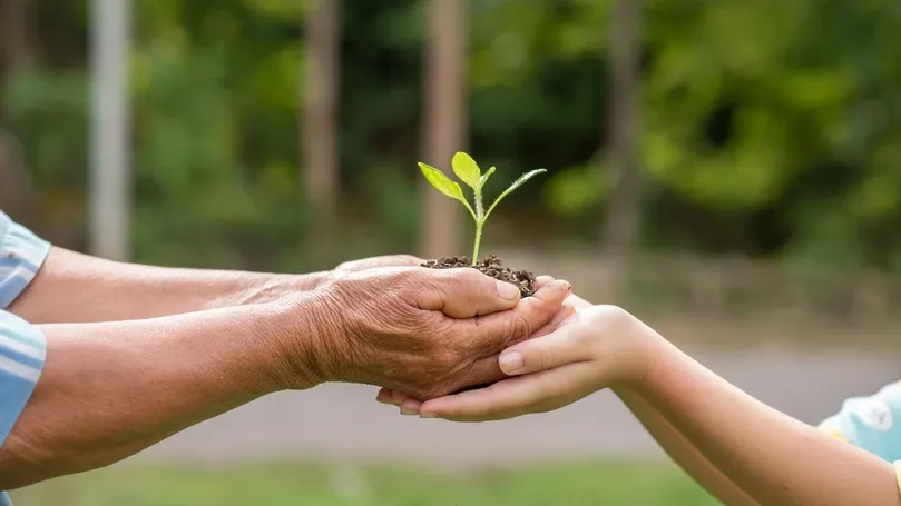 Фото: Freepik, jcomp