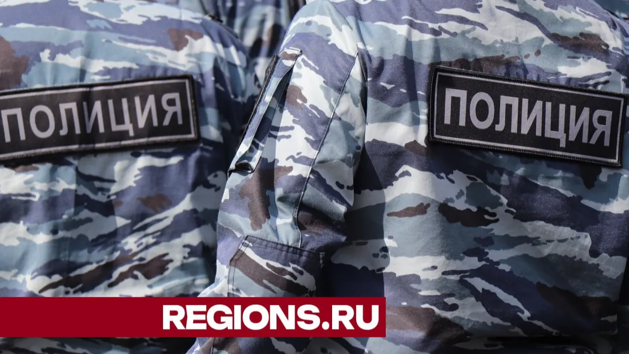 Фото: Василий Тремасов