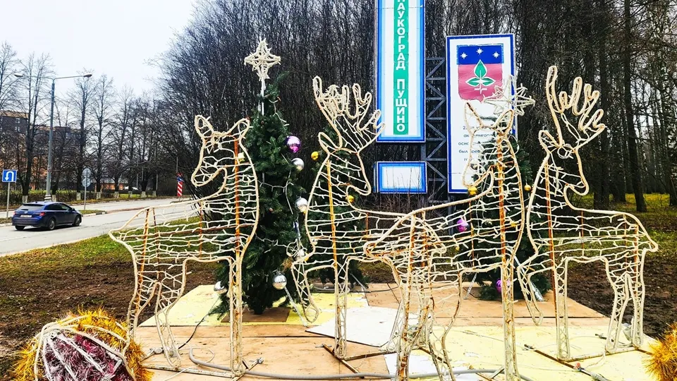 Фото: REGIONS/Мария Панина