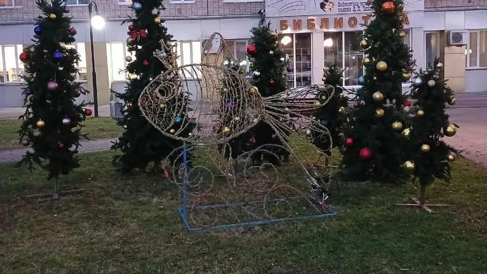 Фото: пресс-служба администрации м.о. Истра