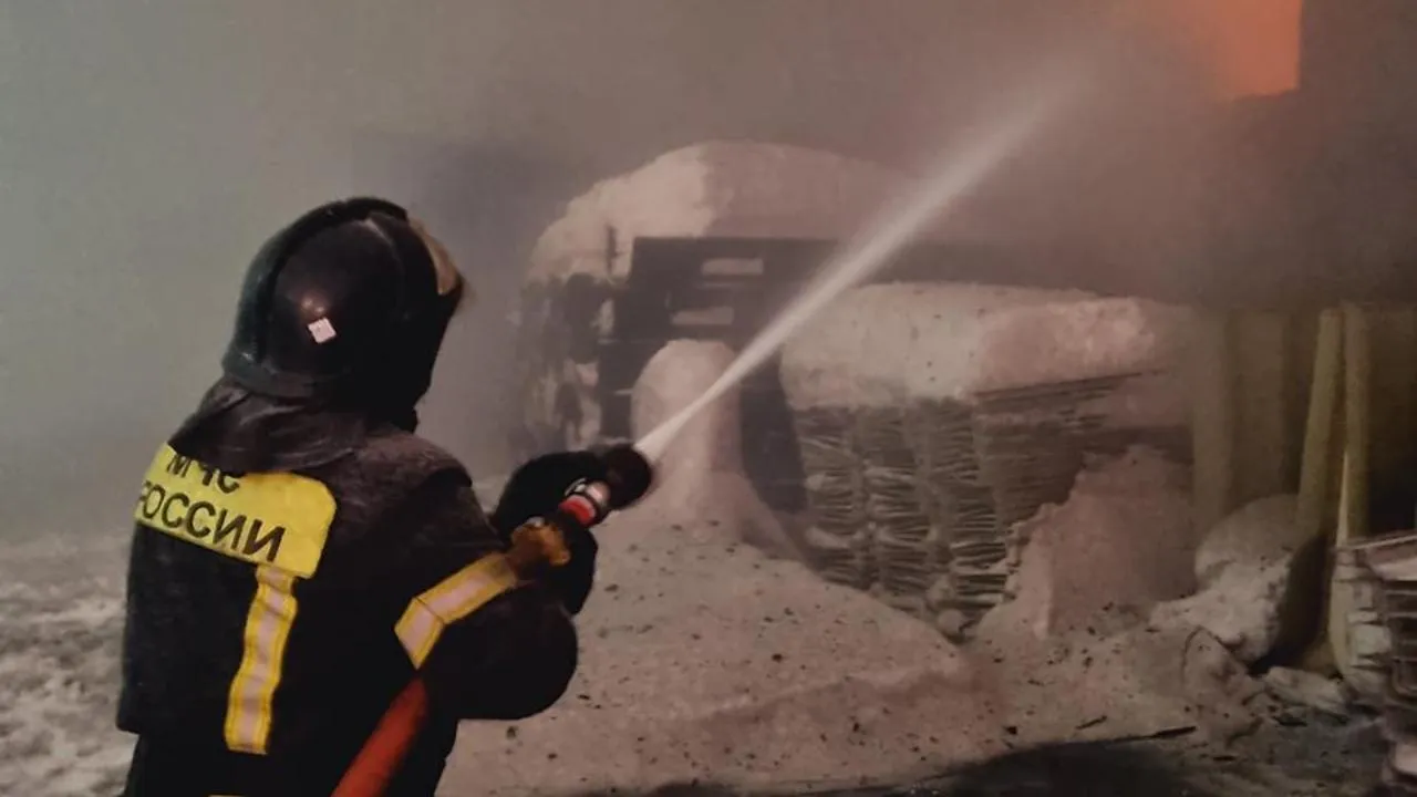 МедиаБанк Подмосковья/Ольга Егиян