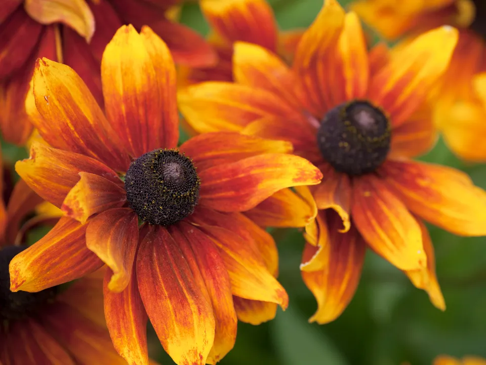 Фото: istockphoto.com/Photoshopped