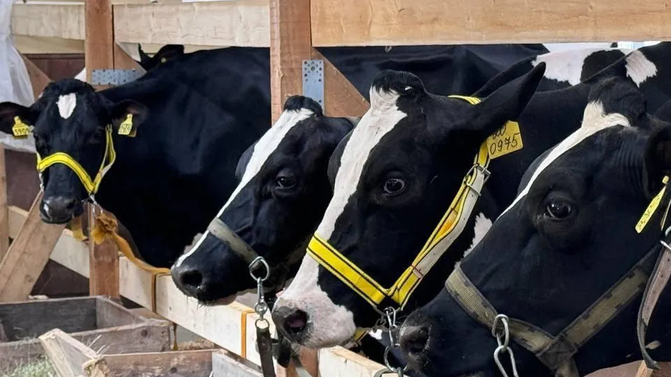 Фото: Министерство сельского хозяйства и продовольствия Московской области