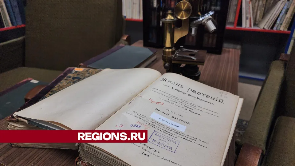 Фото: Арина Кузнецова