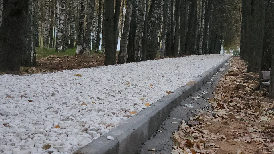 Фото: МедиаБанк Подмосковья/Юлия Смагринская