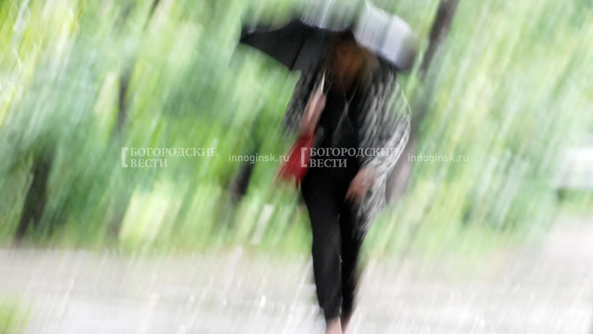 REGIONS/Александр Легкий