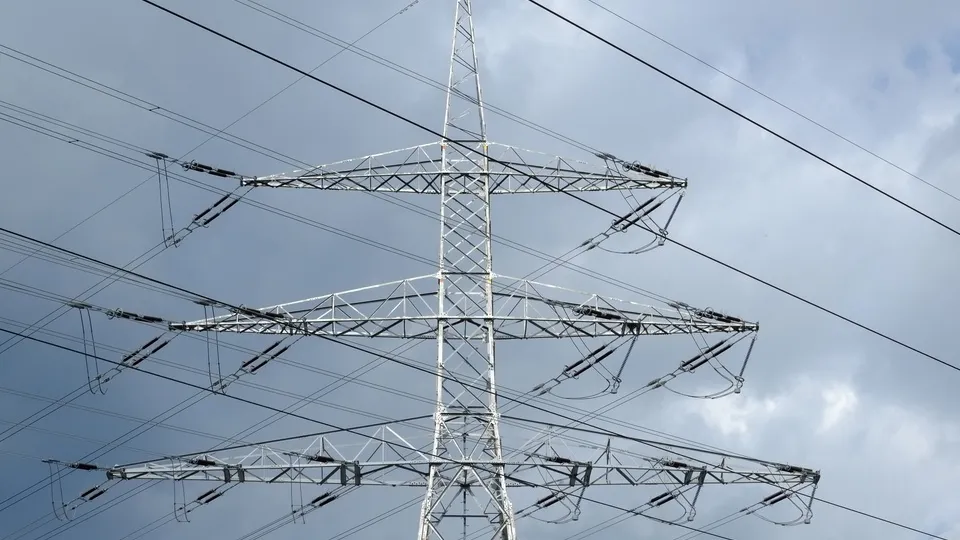 Фото: pxhere.com