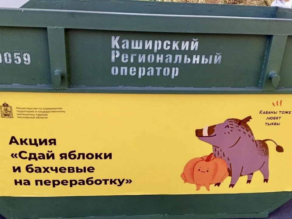 Фото: Минчистоты Московской области