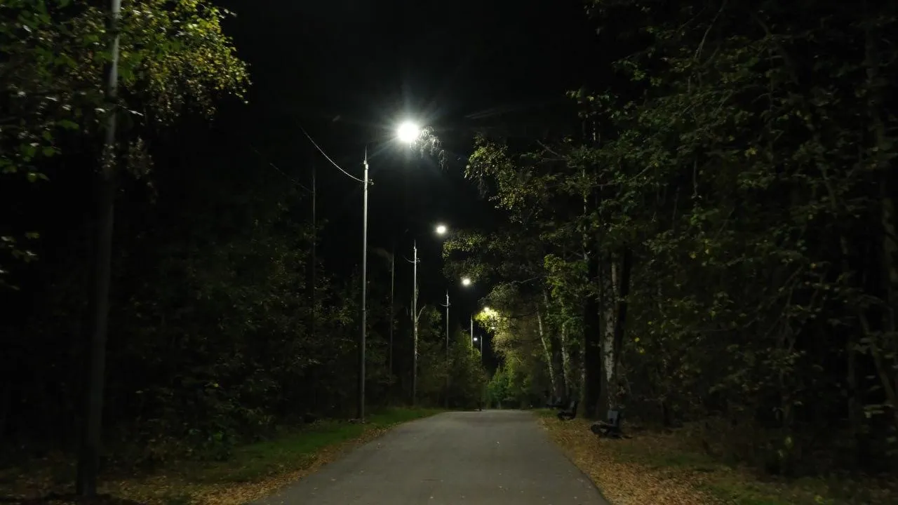 Фото: Министерство благоустройства Московской области