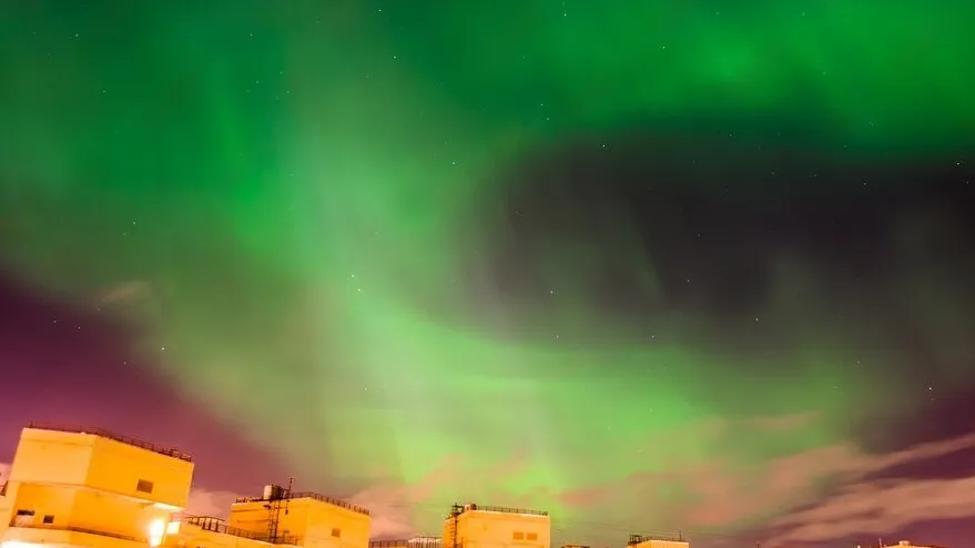 Фото: freepik.com