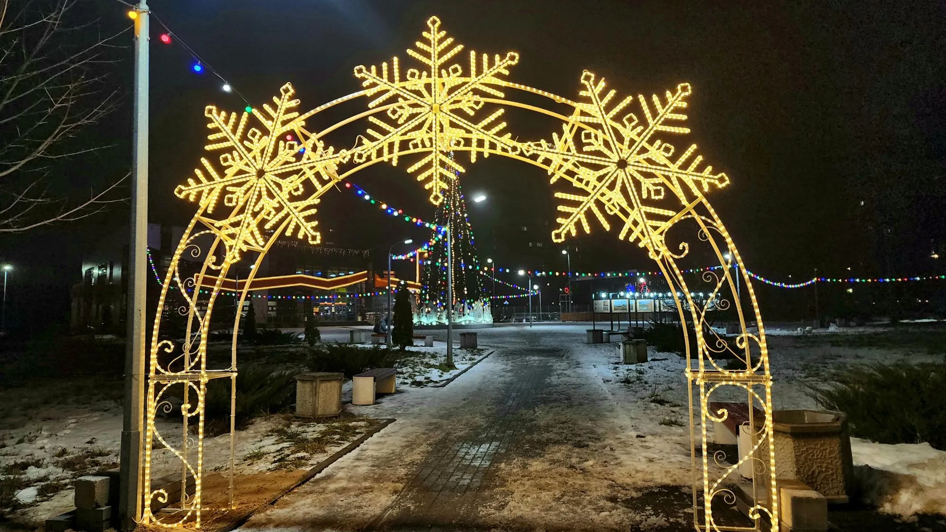 Фото: Мария Панина