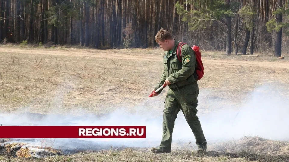 Фото: Александр Дрожжин